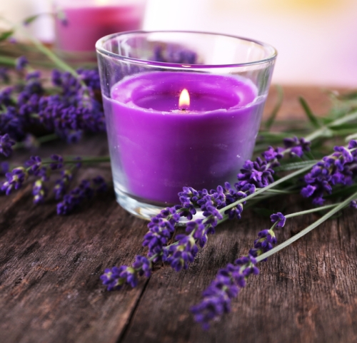 herbal-therapy-for-bipolar-symptoms-with-lavender-shutterstock